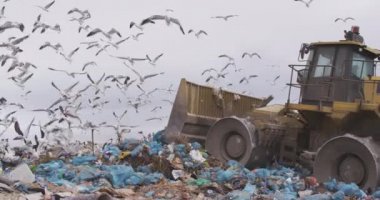 Aracın üzerinde uçan ve çöpleri temizleyen kuş sürüsü arka planda bulutlu bulutlu gökyüzü olan çöplerle dolu bir çöp yığını üzerinde ağır çekimde çalışıyor.