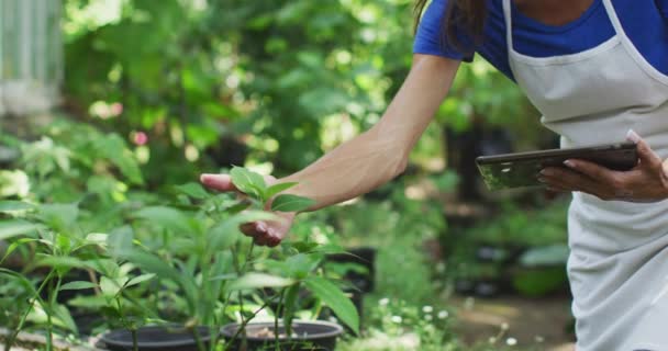 셔츠와 앞치마를 정원을 식물의 태블릿 컴퓨터를 사용하여 동작으로 여성의 부분이 — 비디오