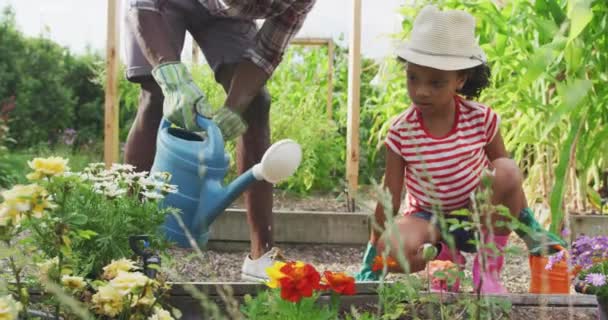 庭で一緒に時間を楽しんでいるアフリカ系アメリカ人の男と彼の混合レースの娘の正面図 ひざまずいて 植え付け 男はゆっくりと動きながら 散水缶で植物に水をやっています — ストック動画
