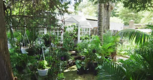 Front View Gazebo Hanging Plant Pots Surrounded Green Plants Trees — Stock Video