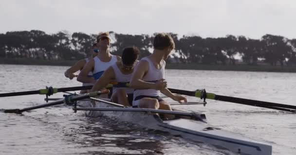 Front View Four Caucasian Male Rowers Rowing Practice Sitting Boat — Stock Video