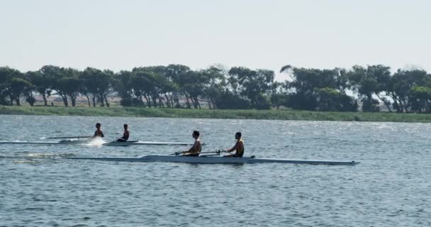 Side View Two Teams Two Caucasian Male Rowers Rowing Practice — Stock Video
