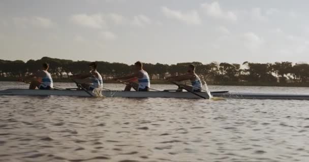 Side View Four Caucasian Male Rowers Rowing Practice Sitting Boat — Stock Video