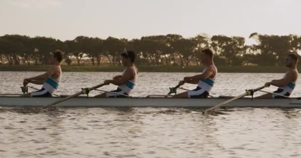 四个白人男子划艇手在划船练习 日落划船 慢动作时的侧视 — 图库视频影像