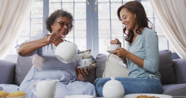 Старша Змішана Жінка Насолоджується Своїм Часом Вдома Виливаючи Чай Чашку — стокове відео