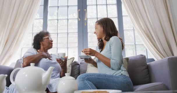 Mujer Raza Mixta Mayor Disfrutando Tiempo Casa Pasando Tiempo Con — Vídeos de Stock