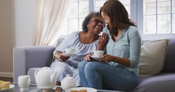 Mujer Raza Mixta Mayor Disfrutando Tiempo Casa Pasando Tiempo Con — Vídeos de Stock