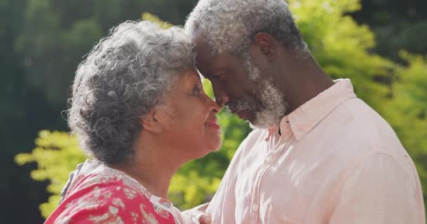 Een Ouder Afro Amerikaans Echtpaar Dat Samen Hun Tuin Verblijft — Stockvideo