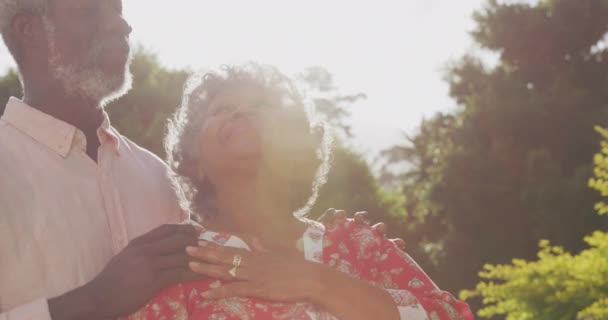 Casal Afro Americano Sênior Que Passa Tempo Seu Jardim Juntos — Vídeo de Stock