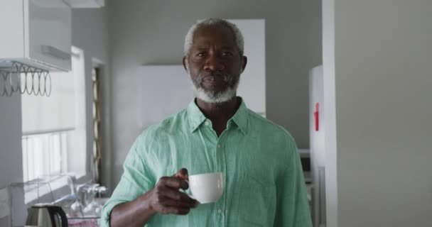 Portrait Senior African American Man Spending Time Home Social Distancing — Stock Video