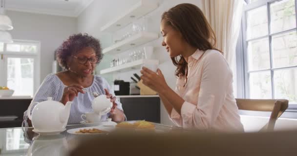 年长的混血儿喜欢呆在家里 和女儿呆在一起 一起喝茶 在隔离中保持距离和自我隔离 动作缓慢 — 图库视频影像