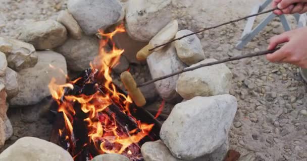 남녀가 모닥불 나뭇가지 위에서 소세지를 요리하며 산으로 여행하며 즐거운 시간을 — 비디오