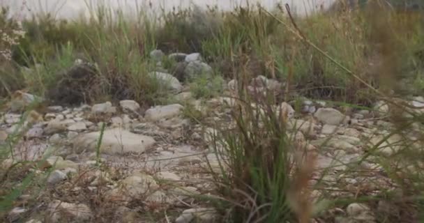 Partie basse d'une femme caucasienne s'amusant lors d'un voyage à la montagne, randonnée au ralenti 