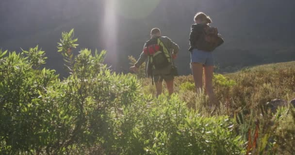 白种人夫妇在登山旅行中度过美好时光 慢悠悠地在阳光灿烂的日子里徒步旅行和欣赏风景的背景图 — 图库视频影像