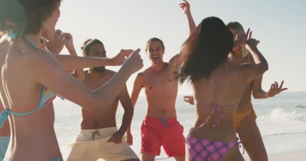 在热带海滩上享受阳光 跳舞和欢笑的多民族朋友的前景色 动作缓慢 — 图库视频影像