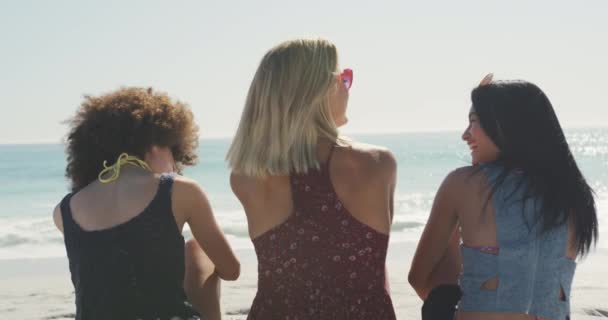 在热带海滩上 一群朋友在阳光下悠闲地坐着 微笑着 慢吞吞地聊天 从后视镜中可以近距离看到许多不同种族的朋友 — 图库视频影像