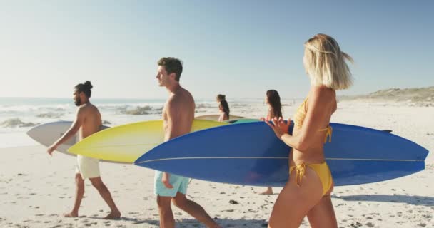 Side view of a multi-ethnic group of friends enjoying time in the sun on a tropical beach, holding their surfboards and walking to the sea, in slow motion — Stock Footage Side View Multi Ethnic Group Friends Enjoying Time Sun Tropical Stock Footage