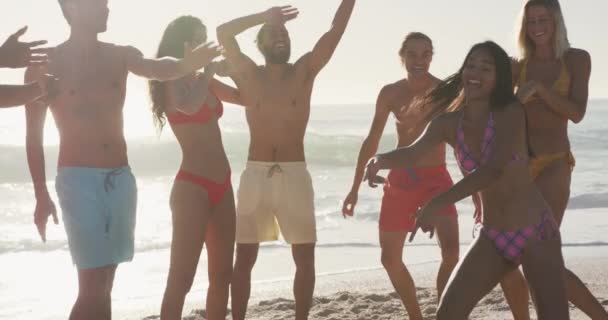 Vista Frontal Grupo Multiétnico Amigos Disfrutando Del Tiempo Sol Una — Vídeo de stock