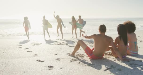 熱帯のビーチで太陽の下で時間を楽しんでいる友人の多民族グループの背面ビュー 座って海に歩いて スローモーションで — ストック動画