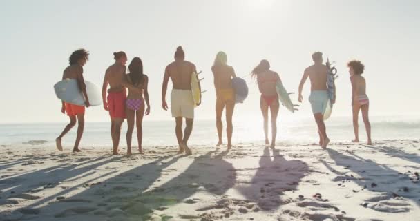 인종의 친구들 보드를 천천히 움직이며 해변에서 일광욕을 즐기는 — 비디오