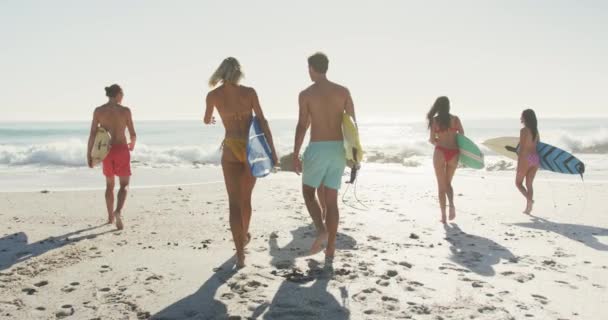 在热带海滩上享受阳光的多民族朋友们 手握冲浪板 慢吞吞地走向大海的后视镜 — 图库视频影像