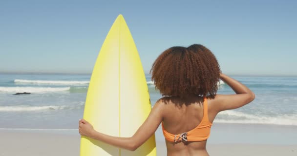 Rear View African American Woman Enjoying Time Sun Tropical Beach — Stock Video