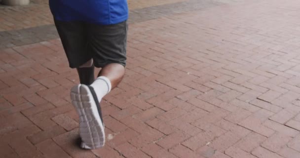 Rückansicht Eines Behinderten Mischlingshundes Mit Beinprothese Der Stadtgebiet Trainiert Joggt — Stockvideo