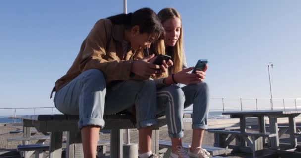 Vooraanzicht Van Een Blanke Een Gemengd Ras Meisje Genieten Van — Stockvideo