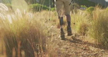 Formda, sakat, protez bacaklı bir ırk adamı, dağlara seyahatinin tadını çıkarıyor, yürüyüş yapıyor, toprak yolda yürüyor, güneşli bir günde, yavaş çekimde, İskandinav bastonları kullanıyor.