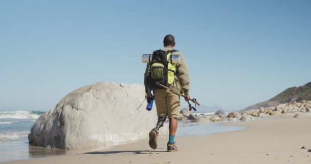 健康的 残疾的混合型赛车手 有假腿 喜欢登山 在海滩上行走 在阳光明媚的日子拿着北欧手杖 动作缓慢 — 图库视频影像