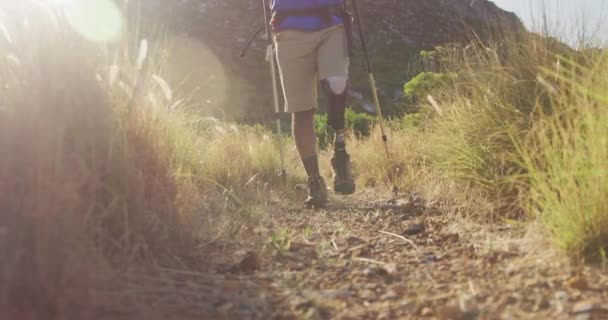在阳光明媚的日子里 走起路来 慢吞吞地爬山 走在土路上 用北欧手杖走路 体弱多病的混血儿 腿都是假肢 — 图库视频影像