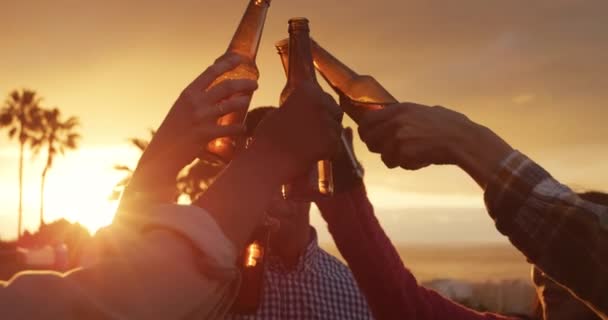 一群多种族的朋友一起呆在屋顶平台上 一边喝啤酒 一边敬酒 慢吞吞地走着 — 图库视频影像