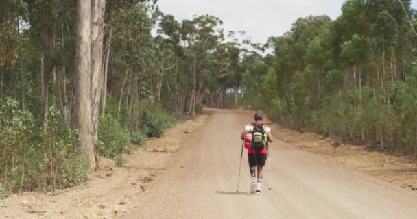 健康的 残疾的混血男子 享受登山之旅 在森林里散步 在阳光明媚的日子里 用北欧手杖 慢动作 — 图库视频影像