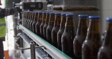 Yüksek görüş mesafesi olan beyaz bir adam, mikro bira fabrikasında çalışıyor, ağır çekimde siyah cam bira şişelerini kontrol ediyor..