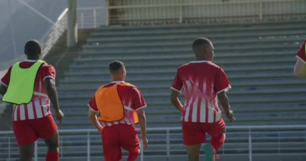 Achteraanzicht Van Een Multi Etnische Groep Van Mannelijke Hockeyspelers Training — Stockvideo