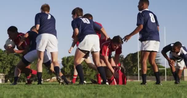 Vista Lateral Dos Equipos Masculinos Multiétnicos Adolescentes Jugadores Rugby Que — Vídeos de Stock