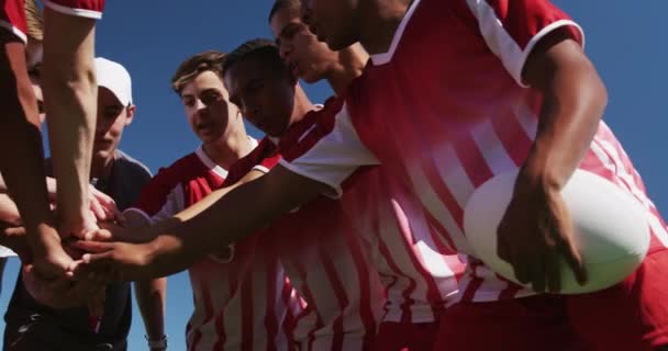 Vista Frontal Ángulo Bajo Entrenador Rugby Masculino Caucásico Que Apila — Vídeo de stock