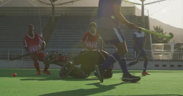 Vue Côté Deux Équipes Hockey Sur Gazon Masculines Multi Ethniques — Video