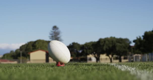 Visão Lateral Seção Baixa Fechar Adolescente Mestiço Jogador Rugby Masculino — Vídeo de Stock