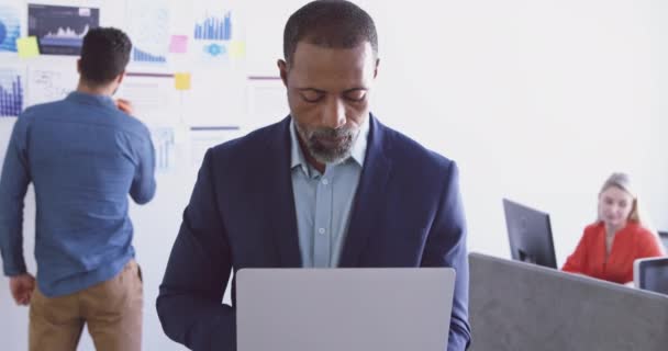 Portrait African American Male Business Creative Short Hair Greying Beard — Stock Video