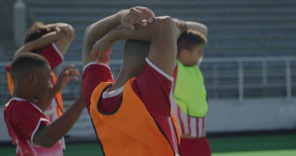 ゲームの前に10代の男性フィールドホッケー選手のトレーニングの多民族グループのサイドビュー フィールドホッケーピッチに取り組んで 彼らの腕を伸ばし 晴れた日に スローモーションで — ストック動画