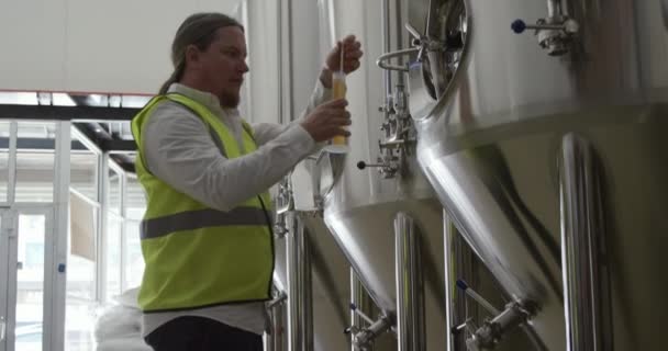 Biały Mężczyzna Pracujący Minibrowarze Ubrany Kamizelkę Widoczną Sprawdzający Szklankę Piwa — Wideo stockowe