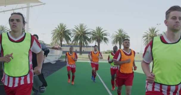 Çim Hokeyi Oyuncularından Oluşan Çok Irklı Bir Grubun Görüntüsü Maçtan — Stok video