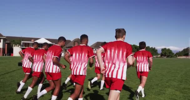 Bakifrån Tonåring Multietniskt Manligt Lag Rugby Spelare Bär Rött Och — Stockvideo