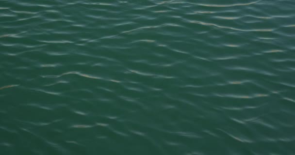 Nádherný Pohled Malé Vlny Klidné Mořské Vodě Vystřelené Mola Slunečného — Stock video