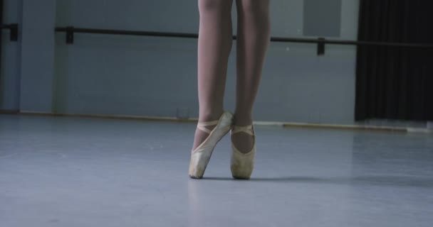 Bailarina Feminina Raça Mista Vestindo Tricot Branco Tutu Azul Dançando — Vídeo de Stock