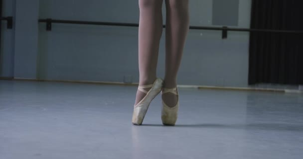 Ballerina Razza Mista Con Tricot Bianco Tutù Blu Che Balla — Video Stock