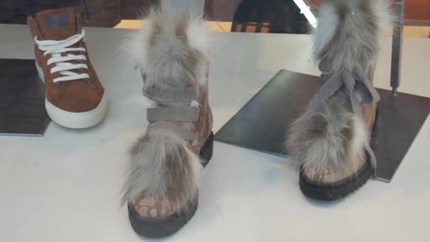 Photo Une Chaussure Chèvre Des Vitrines Photos Chaussures Pour Femmes — Video