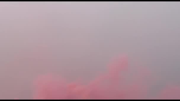 Используя Дымовую Бомбу Красочный Дым Дымовой Шашки Синий Розовый Фиолетовый — стоковое видео