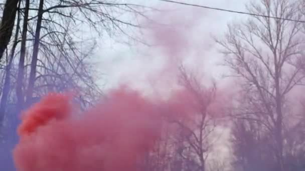 Füstbombát Használ Színes Füst Egy Füstbombából Kék Rózsaszín Lila Zöld — Stock videók